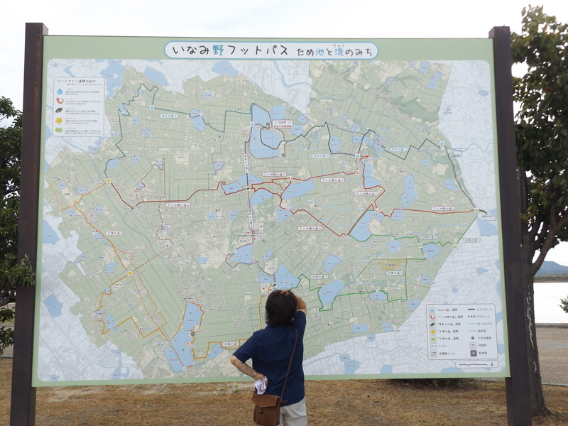 f:id:denden_560316:20190814161532j:plain f:id:denden_560316:20190814161532j:plain