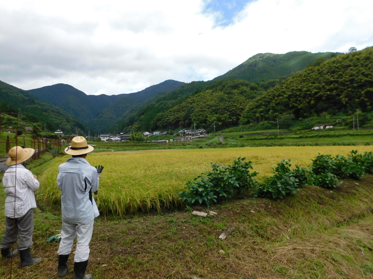 f:id:denden_560316:20200906101305j:plain