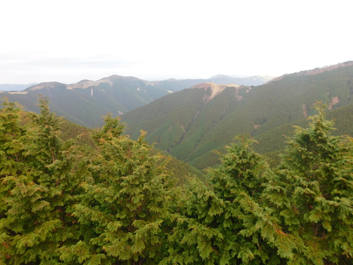 f:id:denden_560316:20201127161038j:plain