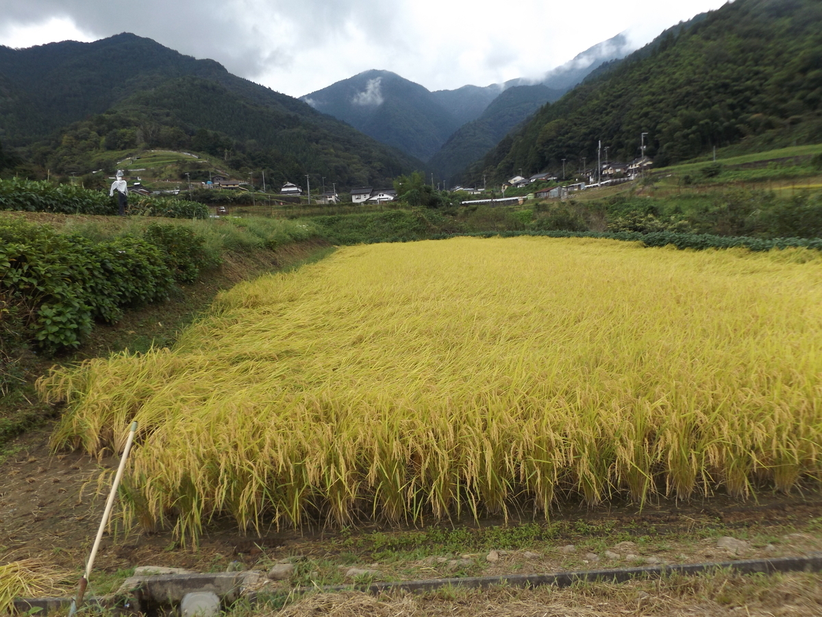 f:id:denden_560316:20210911103229j:plain