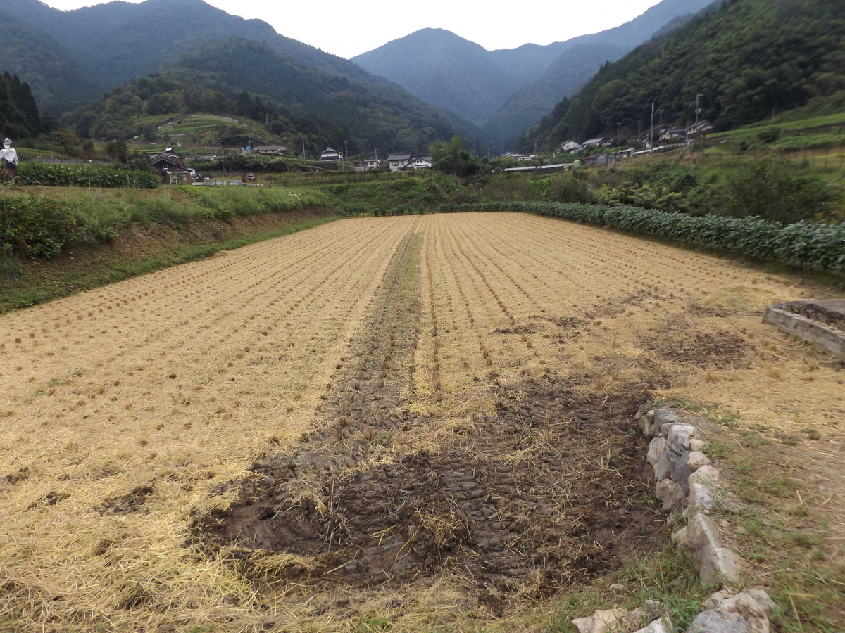 f:id:denden_560316:20210912101908j:plain