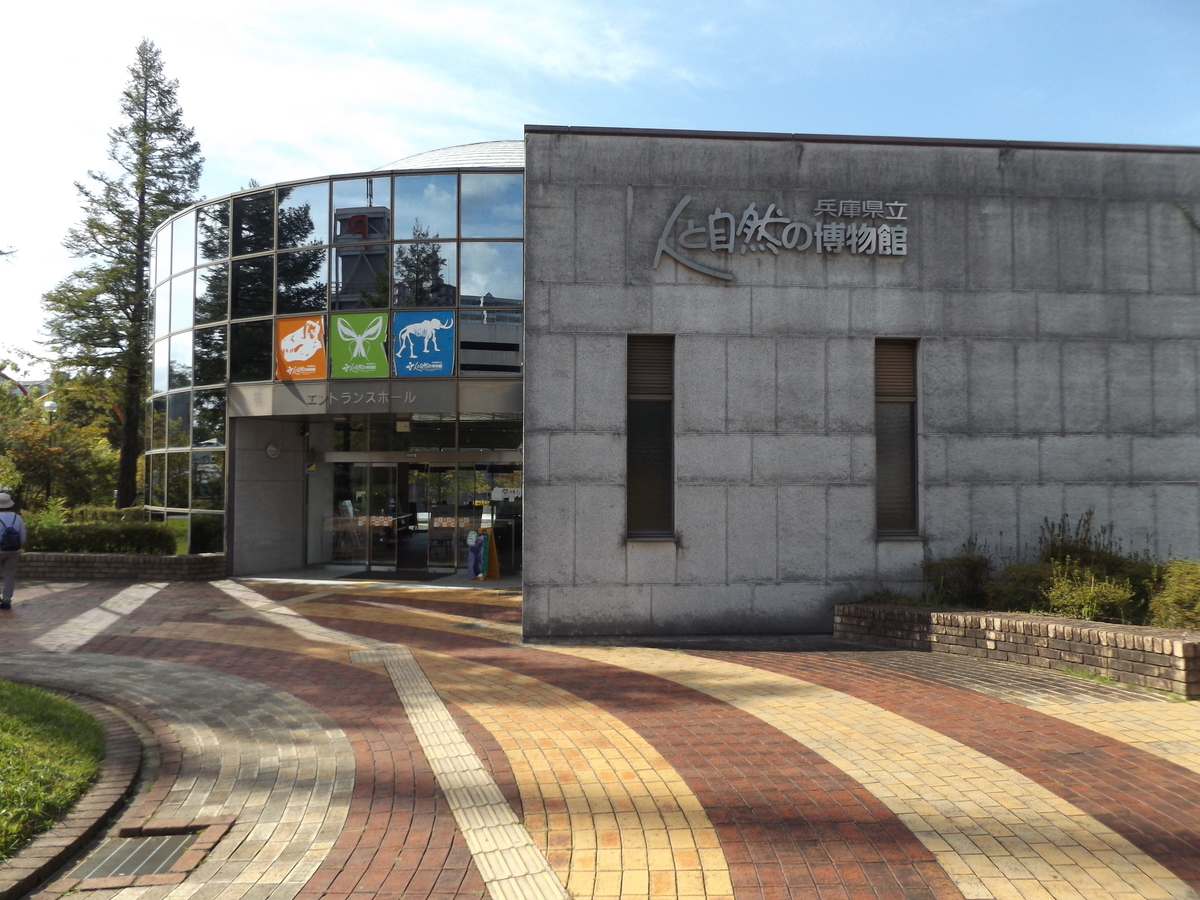 f:id:denden_560316:20210924141207j:plain