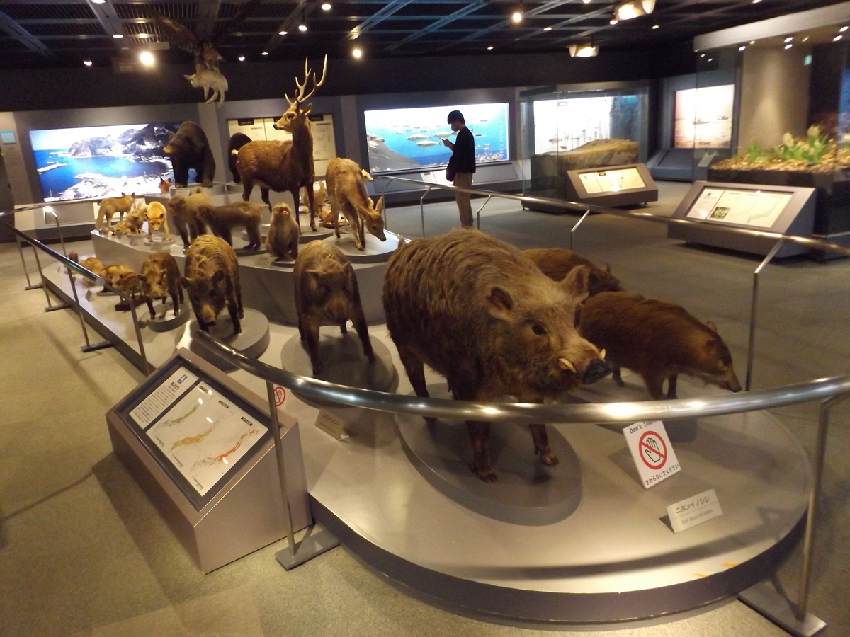 f:id:denden_560316:20210924141739j:plain