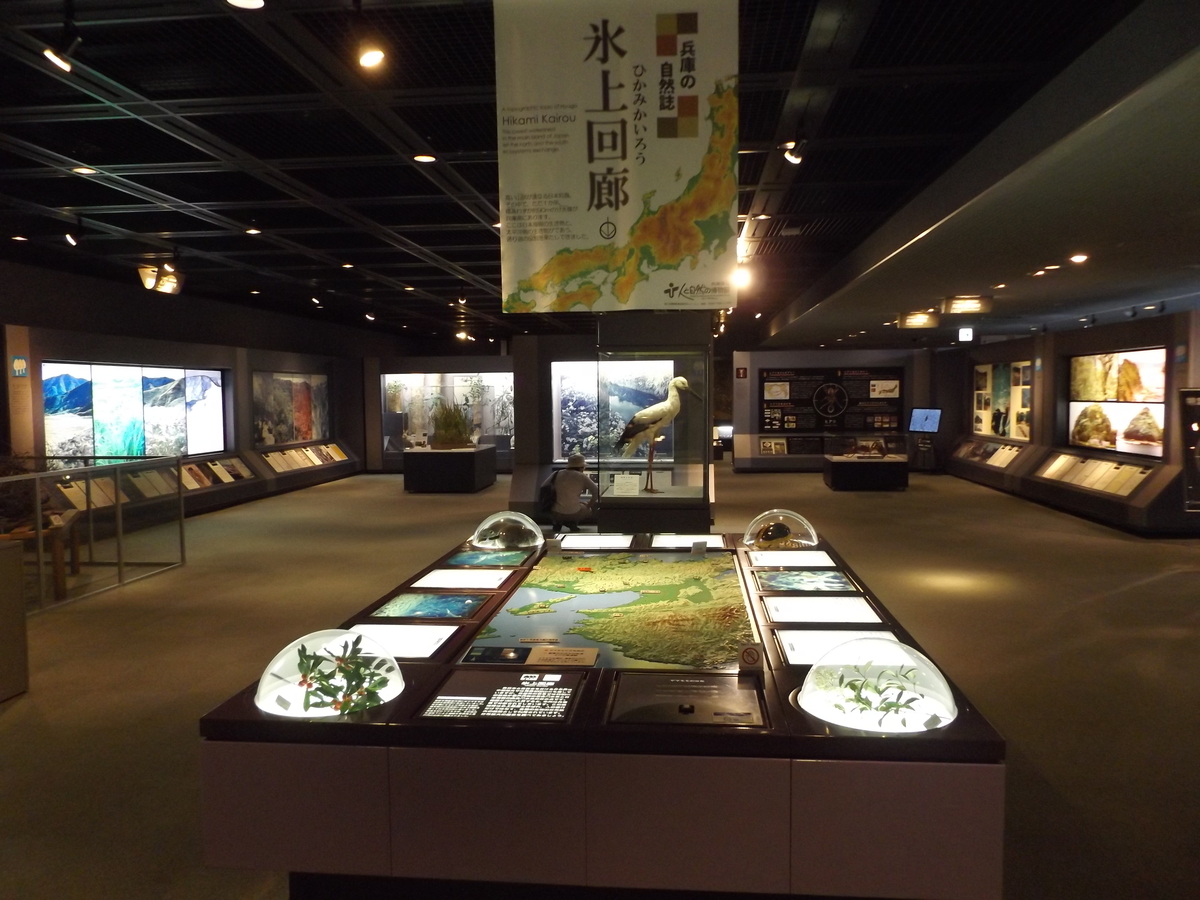 f:id:denden_560316:20210924143302j:plain