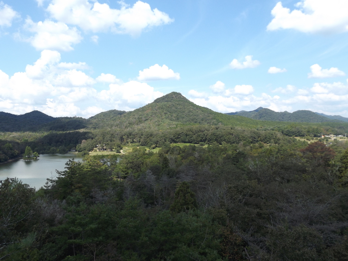 f:id:denden_560316:20210925131932j:plain