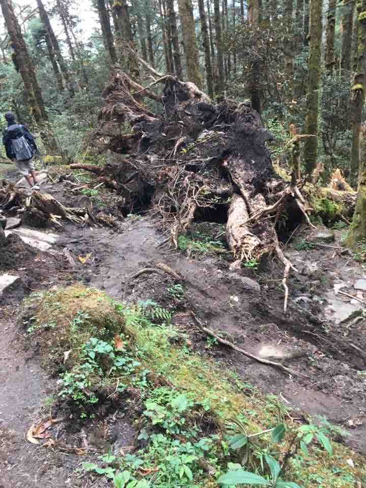 f:id:denden_seven:20200214184858j:plain:w400