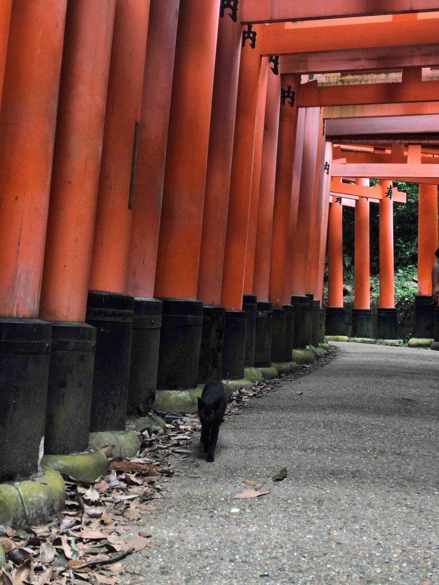 f:id:denden_seven:20200919215228j:plain:w400