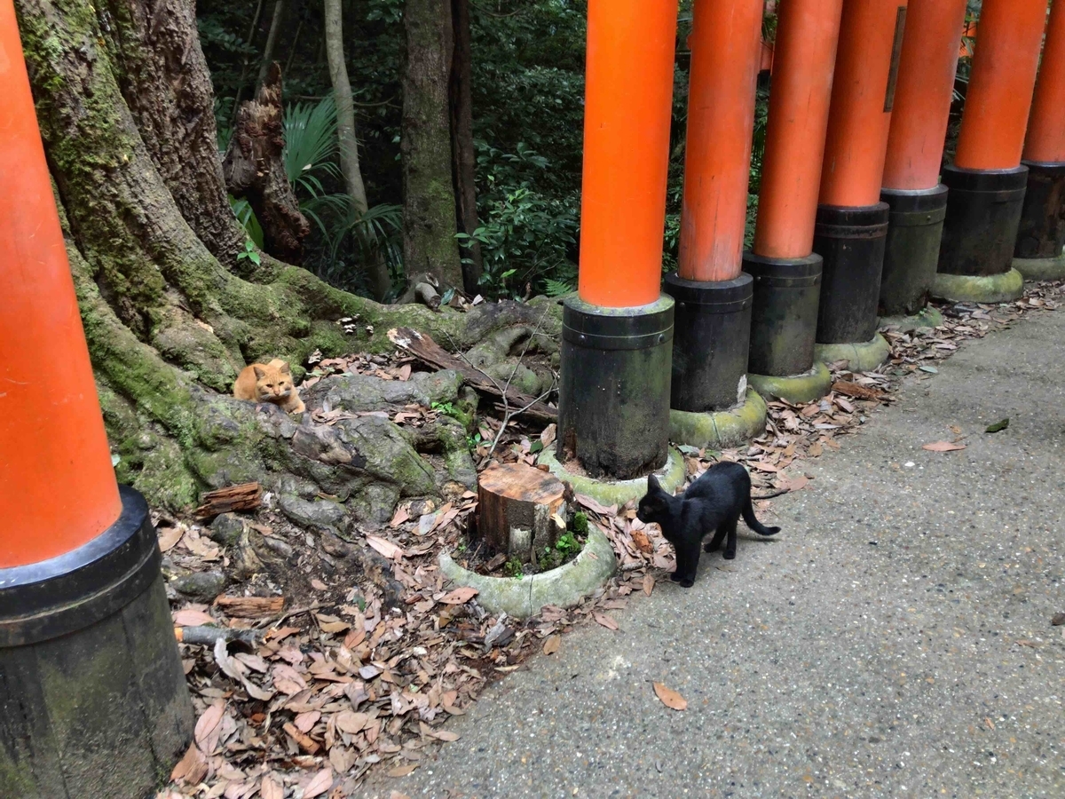 f:id:denden_seven:20200919215245j:plain:w400