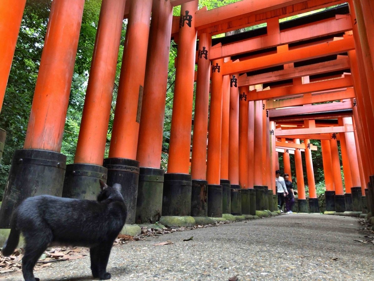 f:id:denden_seven:20200919215305j:plain:w400