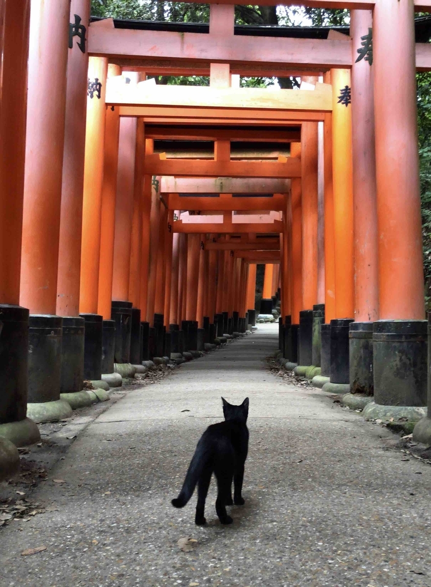 f:id:denden_seven:20200919215606j:plain:w400