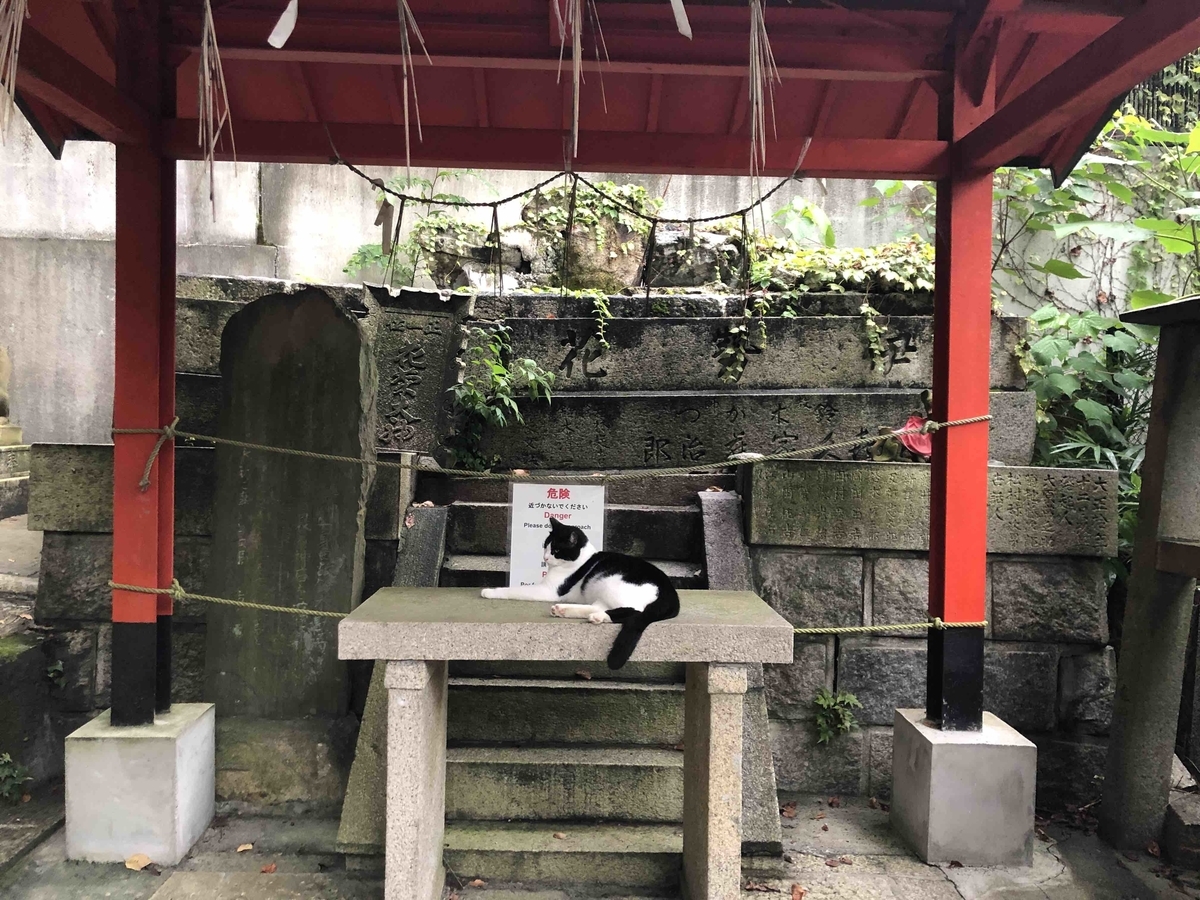 f:id:denden_seven:20200919215718j:plain:w400