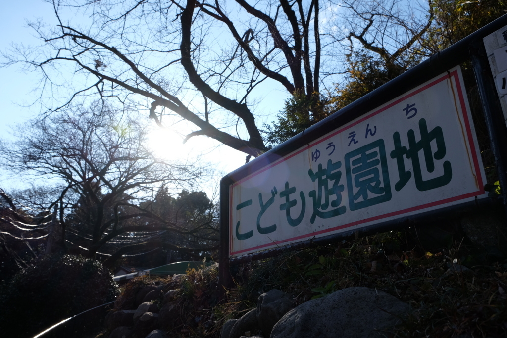 f:id:dendenmushes:20180103193759j:plain