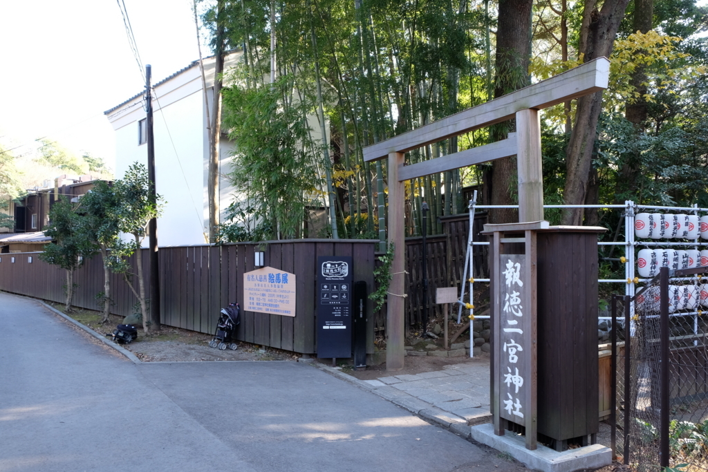 f:id:dendenmushes:20180103194000j:plain