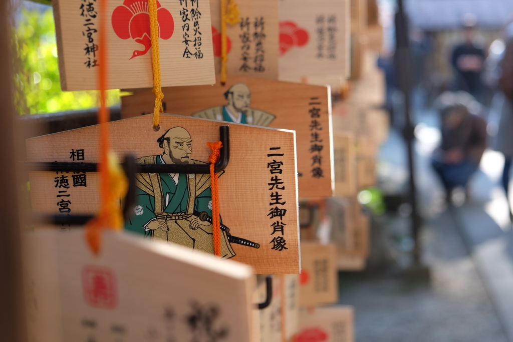 f:id:dendenmushes:20180103194337j:plain