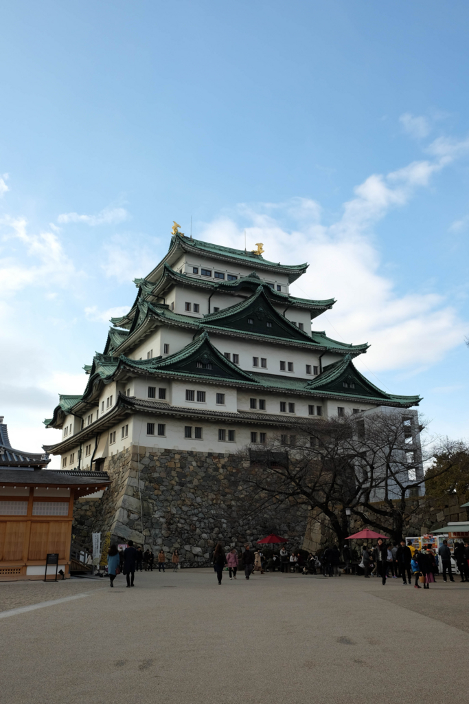 f:id:dendenmushes:20180120232815j:plain