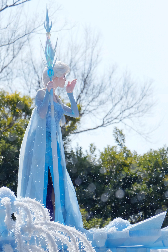 f:id:dendenmushes:20180308165825j:plain