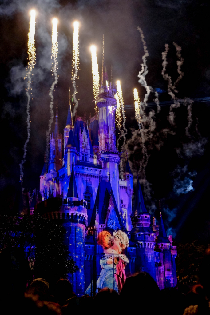 f:id:dendenmushes:20180309000026j:plain