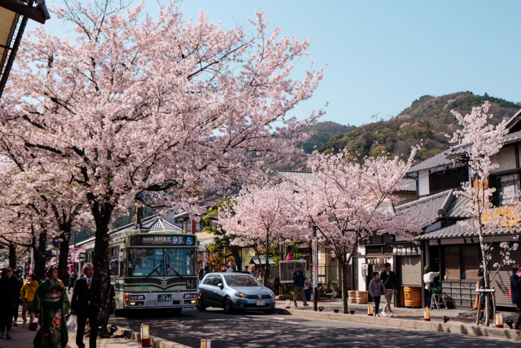 f:id:dendenmushes:20180421110320j:plain