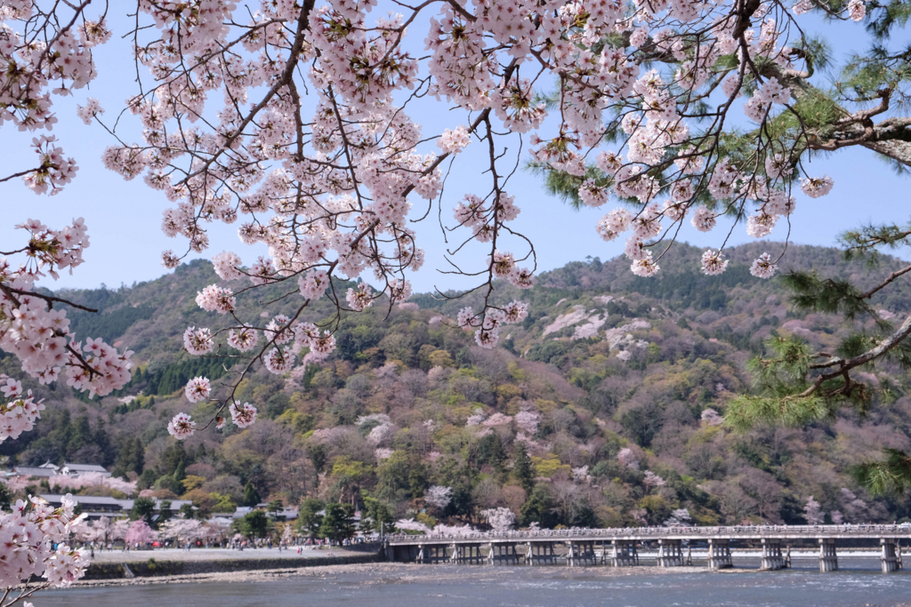 f:id:dendenmushes:20180421110536j:plain
