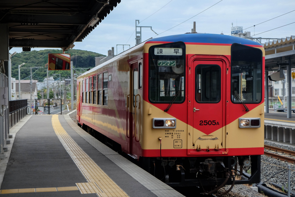 f:id:dendenmushes:20180826212726j:plain