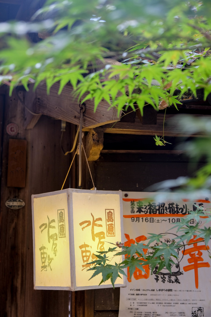 f:id:dendenmushes:20180902214117j:plain