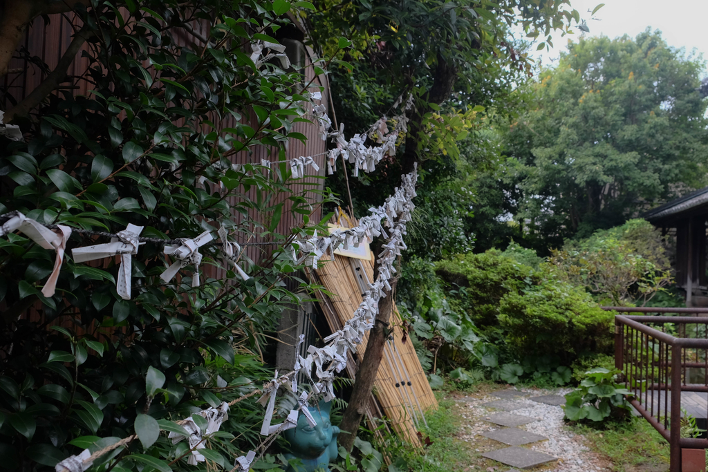 f:id:dendenmushes:20180902214914j:plain