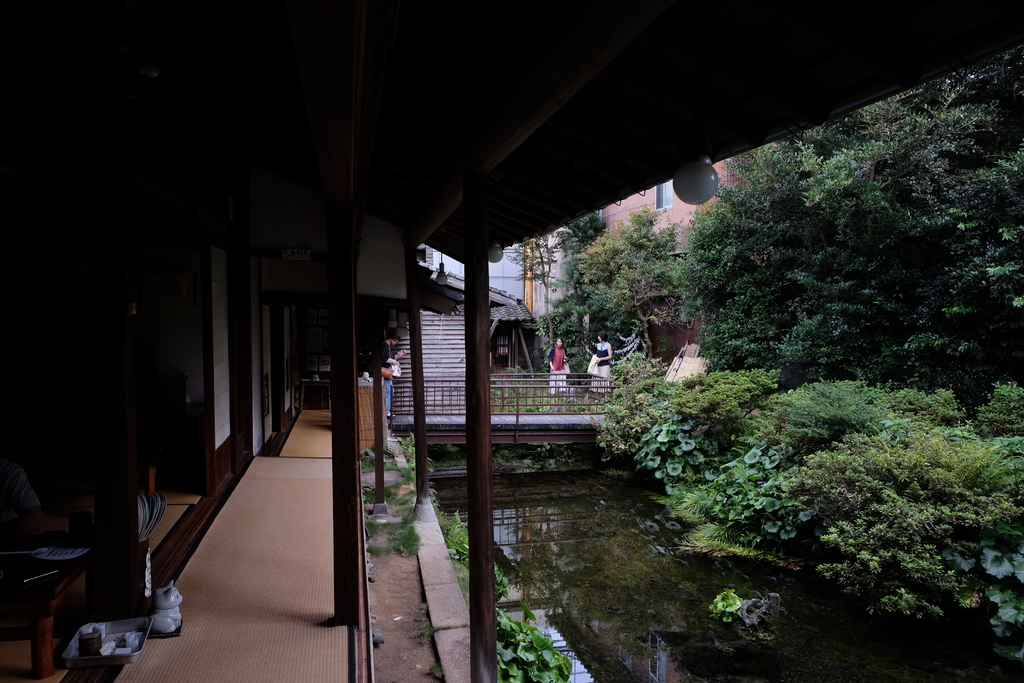 f:id:dendenmushes:20180902221433j:plain