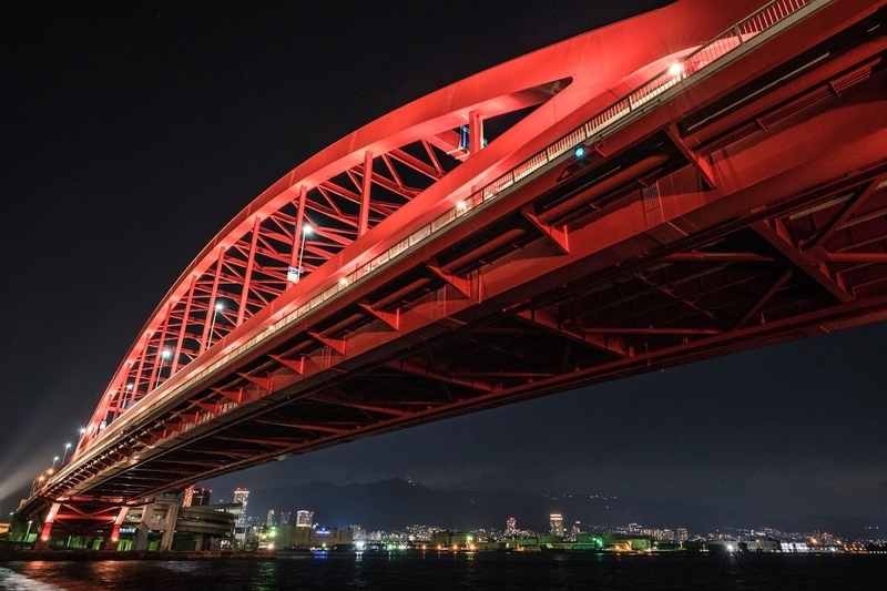 f:id:dendenmushes:20200530134635j:plain f:id:dendenmushes:20200530134635j:plain