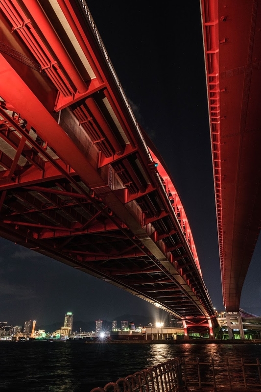 f:id:dendenmushes:20200530134655j:plain f:id:dendenmushes:20200530134655j:plain