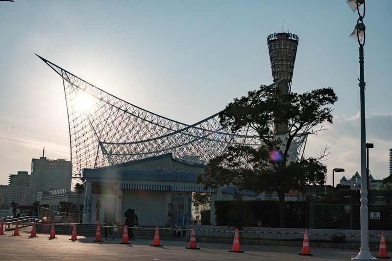 f:id:dendenmushes:20200530134704j:plain f:id:dendenmushes:20200530134704j:plain