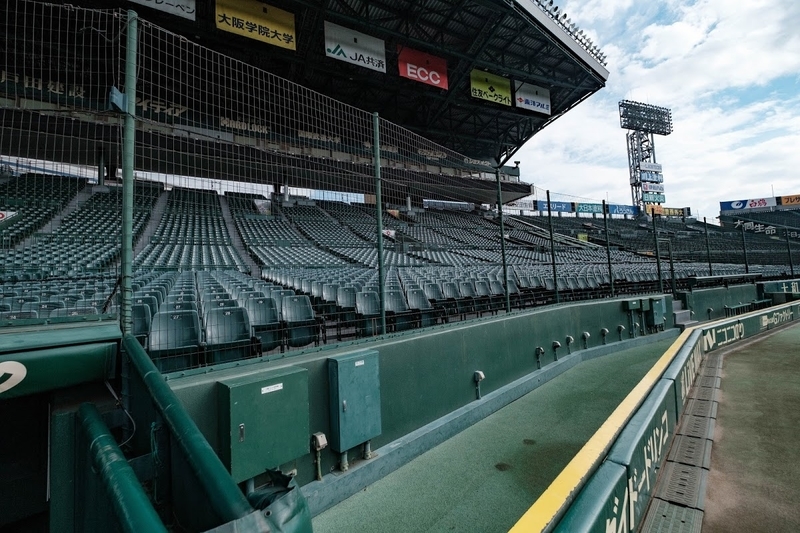 f:id:dendenmushes:20200530134708j:plain f:id:dendenmushes:20200530134708j:plain