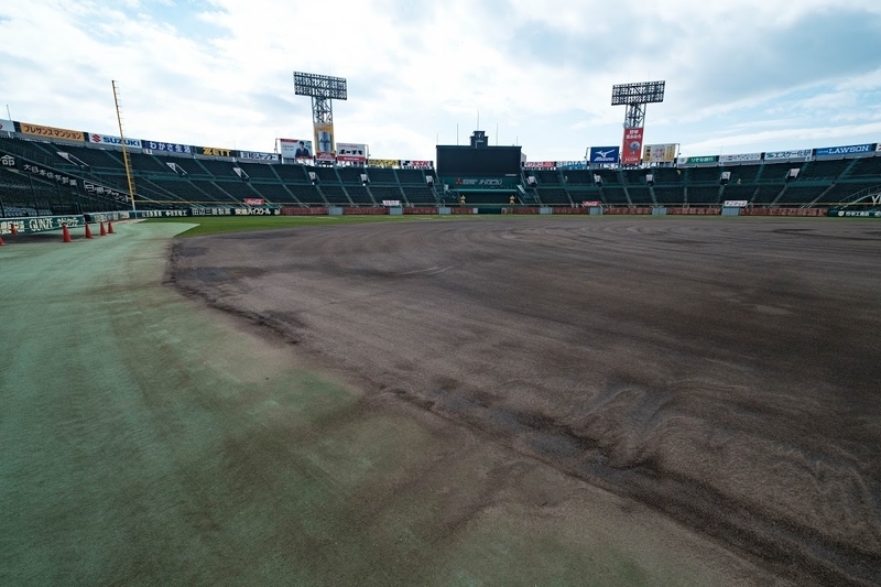 f:id:dendenmushes:20200530134727j:plain f:id:dendenmushes:20200530134727j:plain