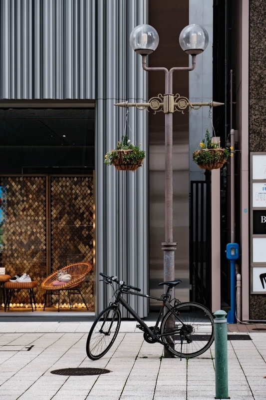 f:id:dendenmushes:20200530134741j:plain f:id:dendenmushes:20200530134741j:plain