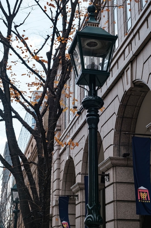 f:id:dendenmushes:20200530134754j:plain f:id:dendenmushes:20200530134754j:plain