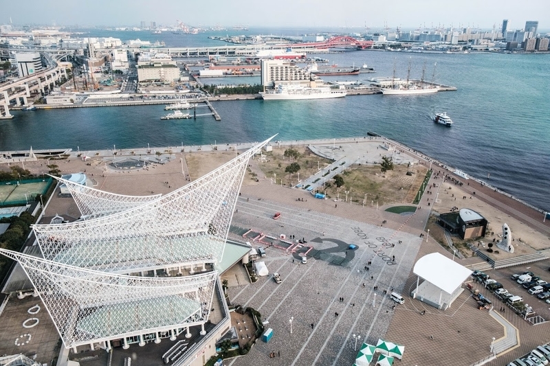 f:id:dendenmushes:20200530134809j:plain f:id:dendenmushes:20200530134809j:plain