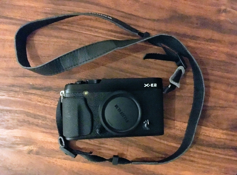 f:id:dendenmushes:20200626154325j:plain