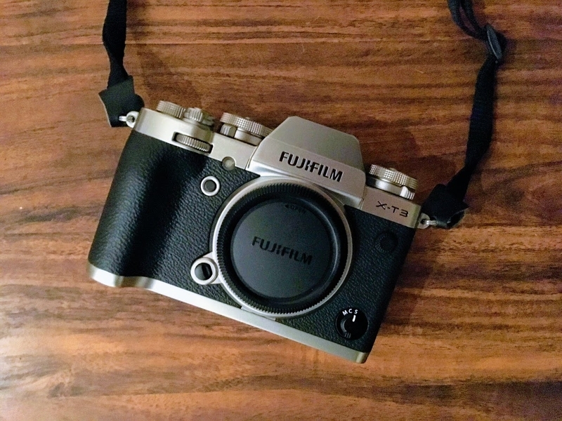 f:id:dendenmushes:20200626154332j:plain