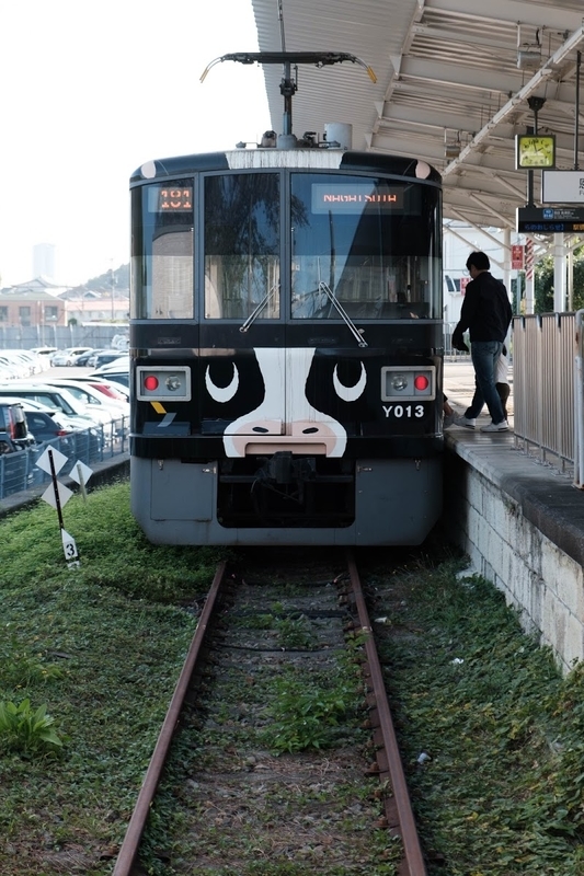 f:id:dendenmushes:20200813105257j:plain