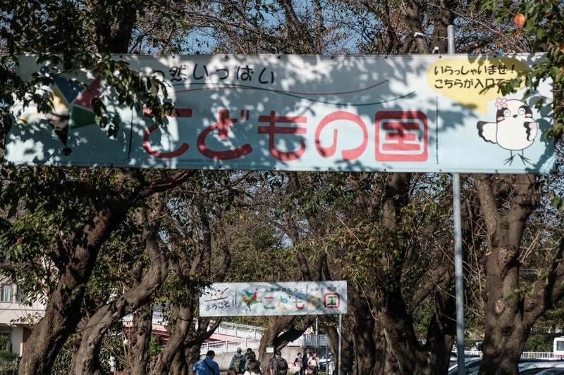 f:id:dendenmushes:20200813105301j:plain