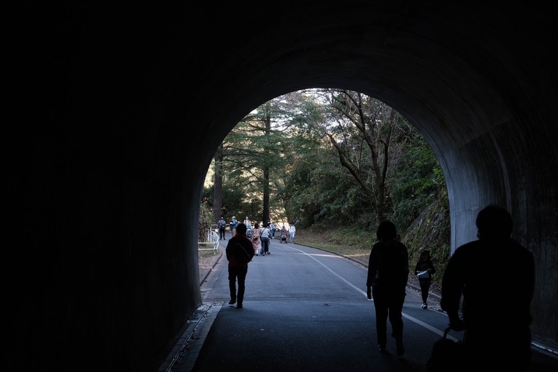 f:id:dendenmushes:20200813105307j:plain