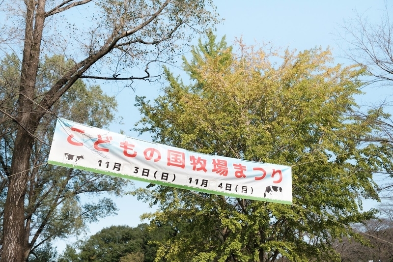 f:id:dendenmushes:20200813105322j:plain