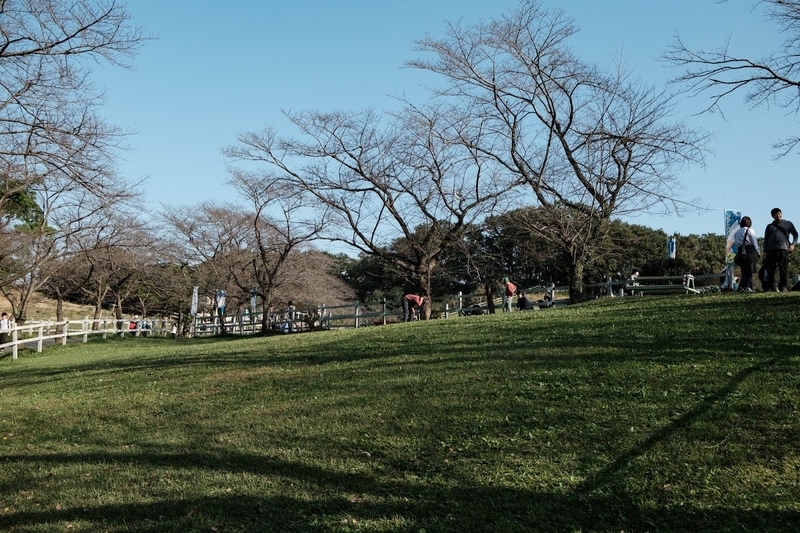 f:id:dendenmushes:20200813105327j:plain