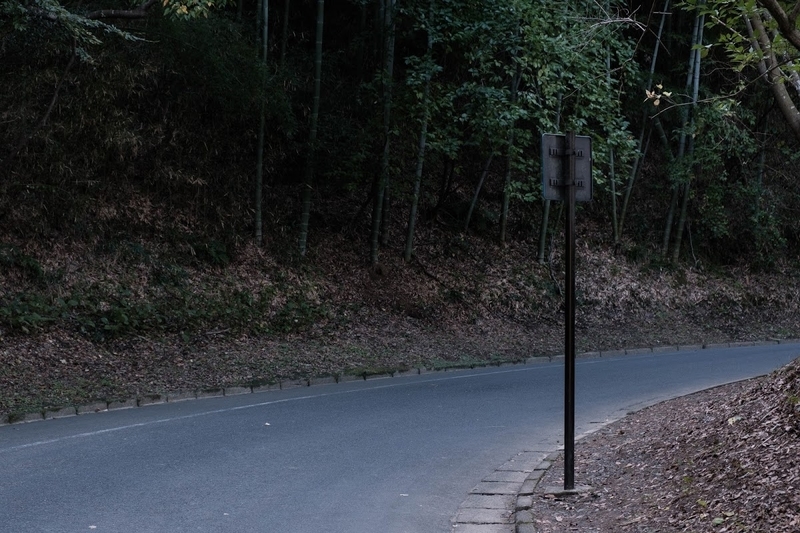 f:id:dendenmushes:20200813105340j:plain