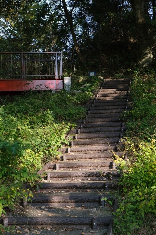 f:id:dendenmushes:20200813105347j:plain