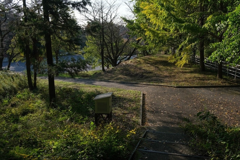 f:id:dendenmushes:20200813105351j:plain