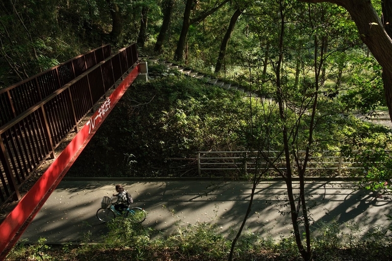 f:id:dendenmushes:20200813105402j:plain