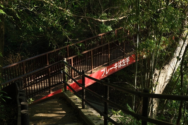 f:id:dendenmushes:20200813105415j:plain