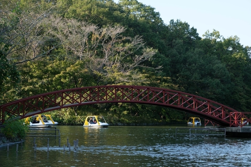 f:id:dendenmushes:20200813105435j:plain