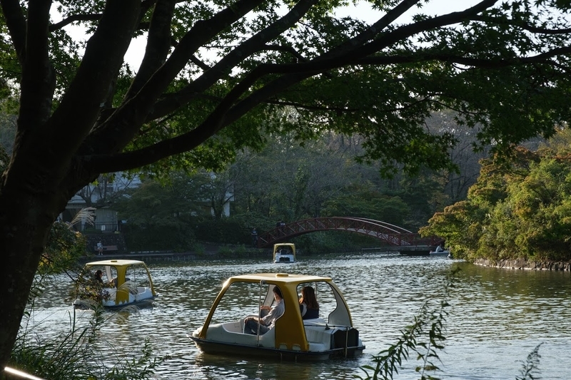 f:id:dendenmushes:20200813105501j:plain