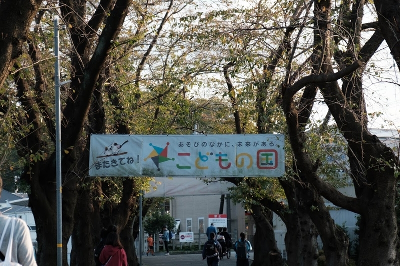 f:id:dendenmushes:20200813105520j:plain